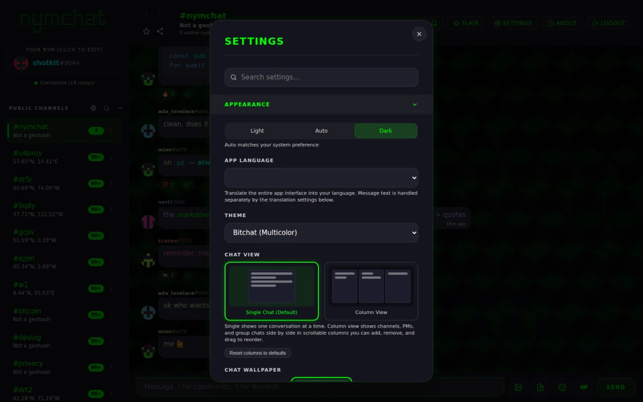 The Appearance settings section, with a Light/Auto/Dark switch, app language, theme picker and chat view options.